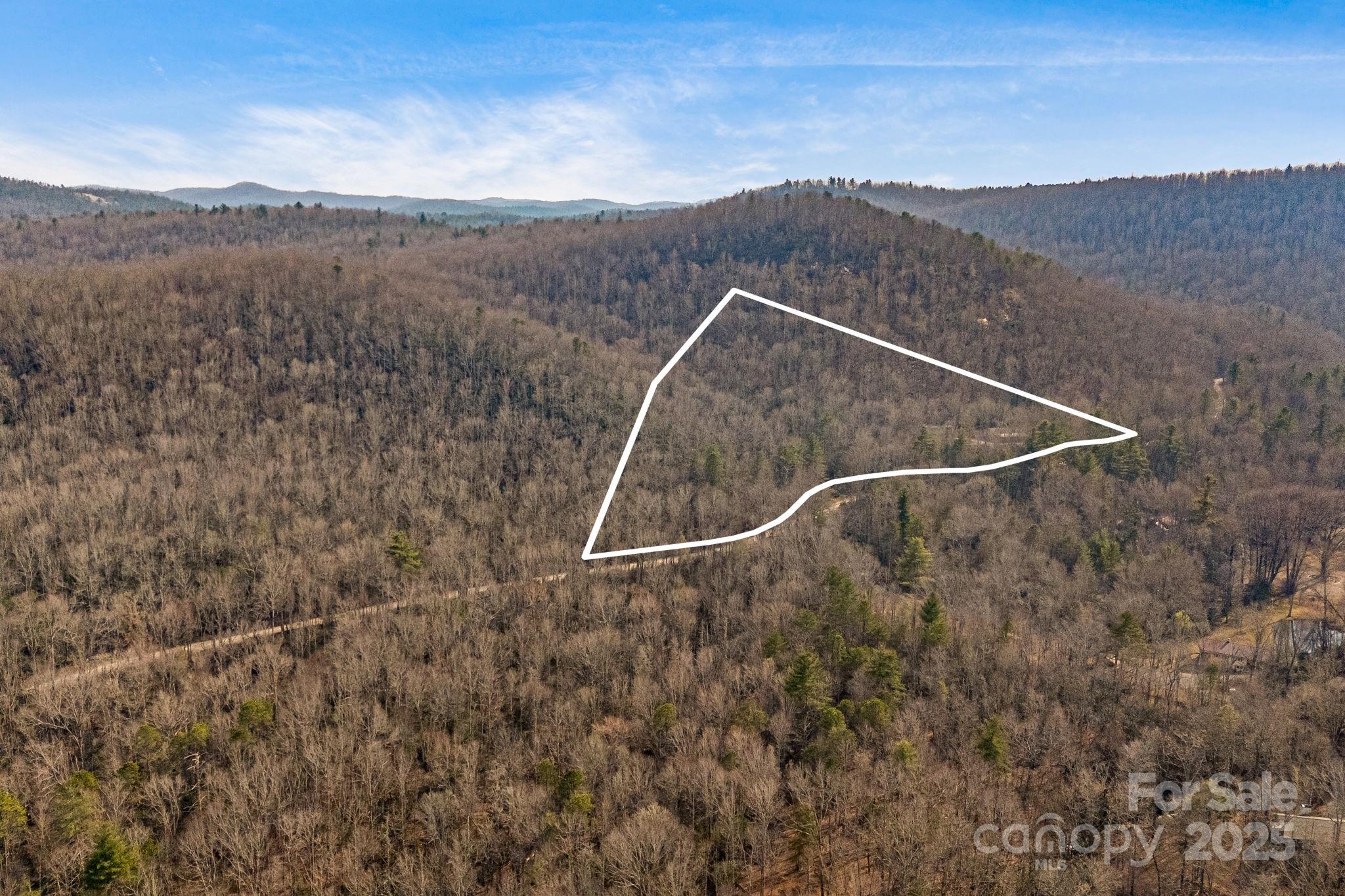 5389 Cascade Lake Road Cedar Mountain, NC 28718 - Photo 32 of 39 a view of a field with a mountain in the background