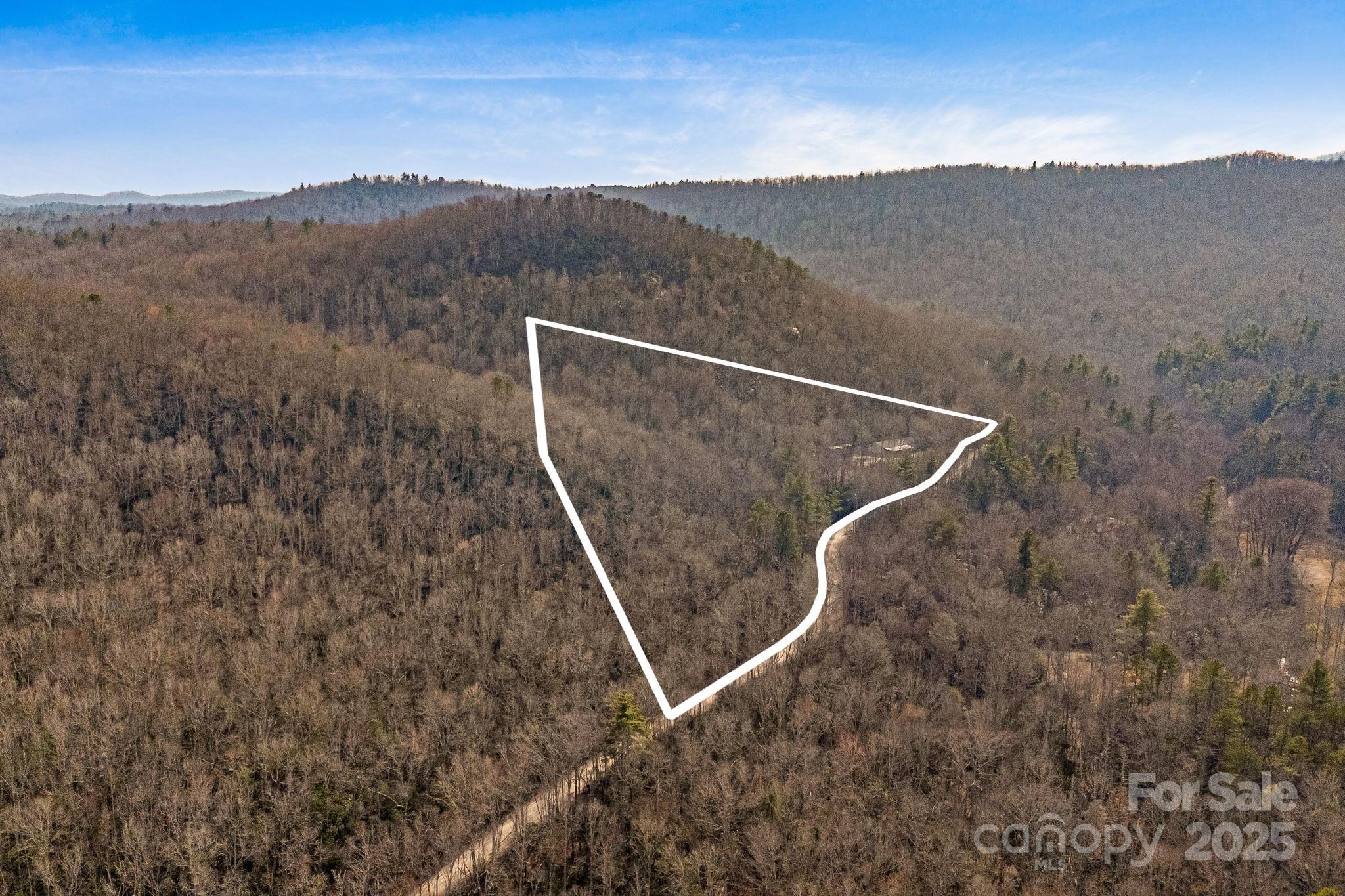 5389 Cascade Lake Road Cedar Mountain, NC 28718 - Photo 33 of 39 a view of a dry yard with mountain