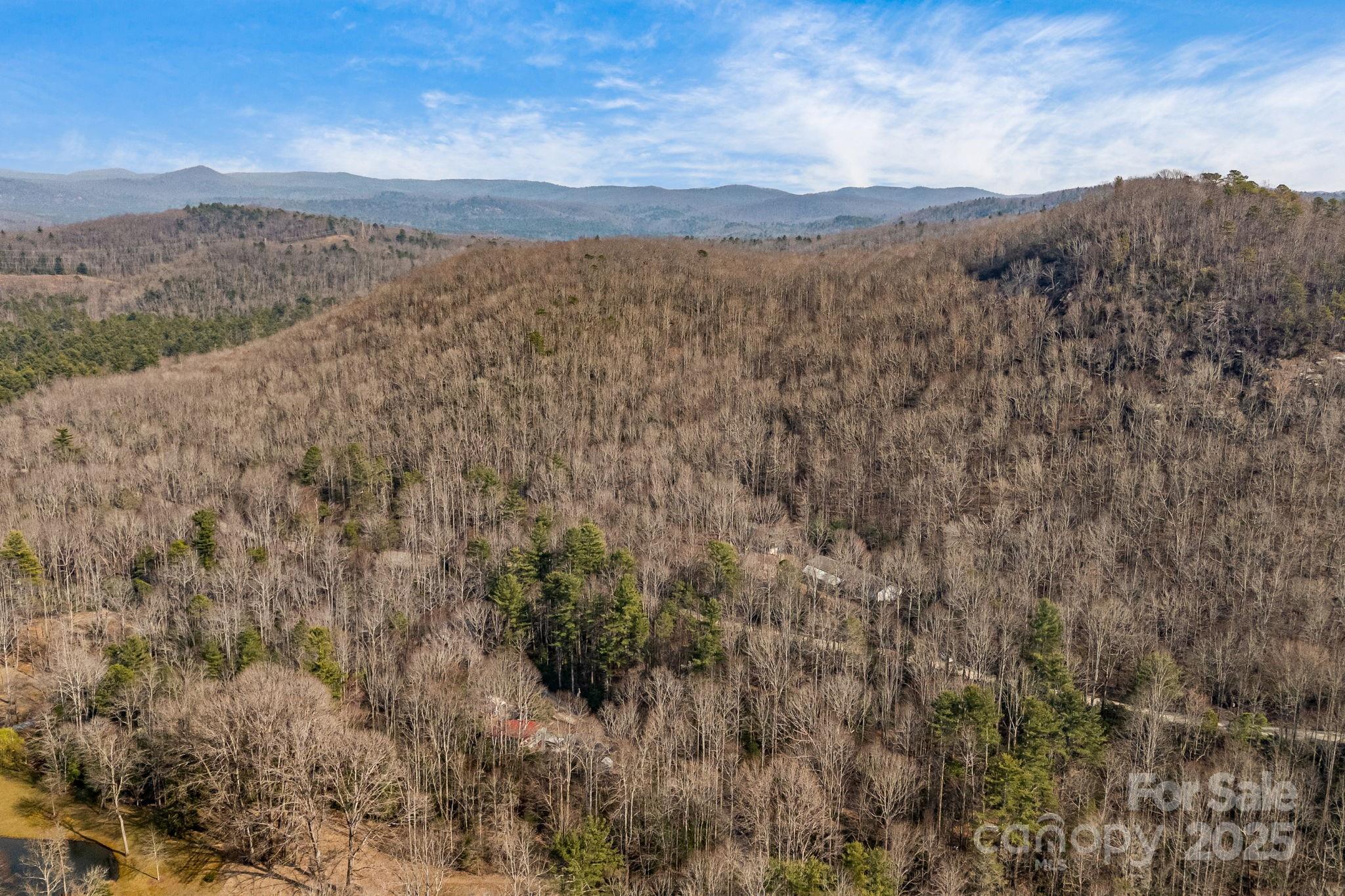 5389 Cascade Lake Road Cedar Mountain, NC 28718 - Photo 38 of 39 a view of a city