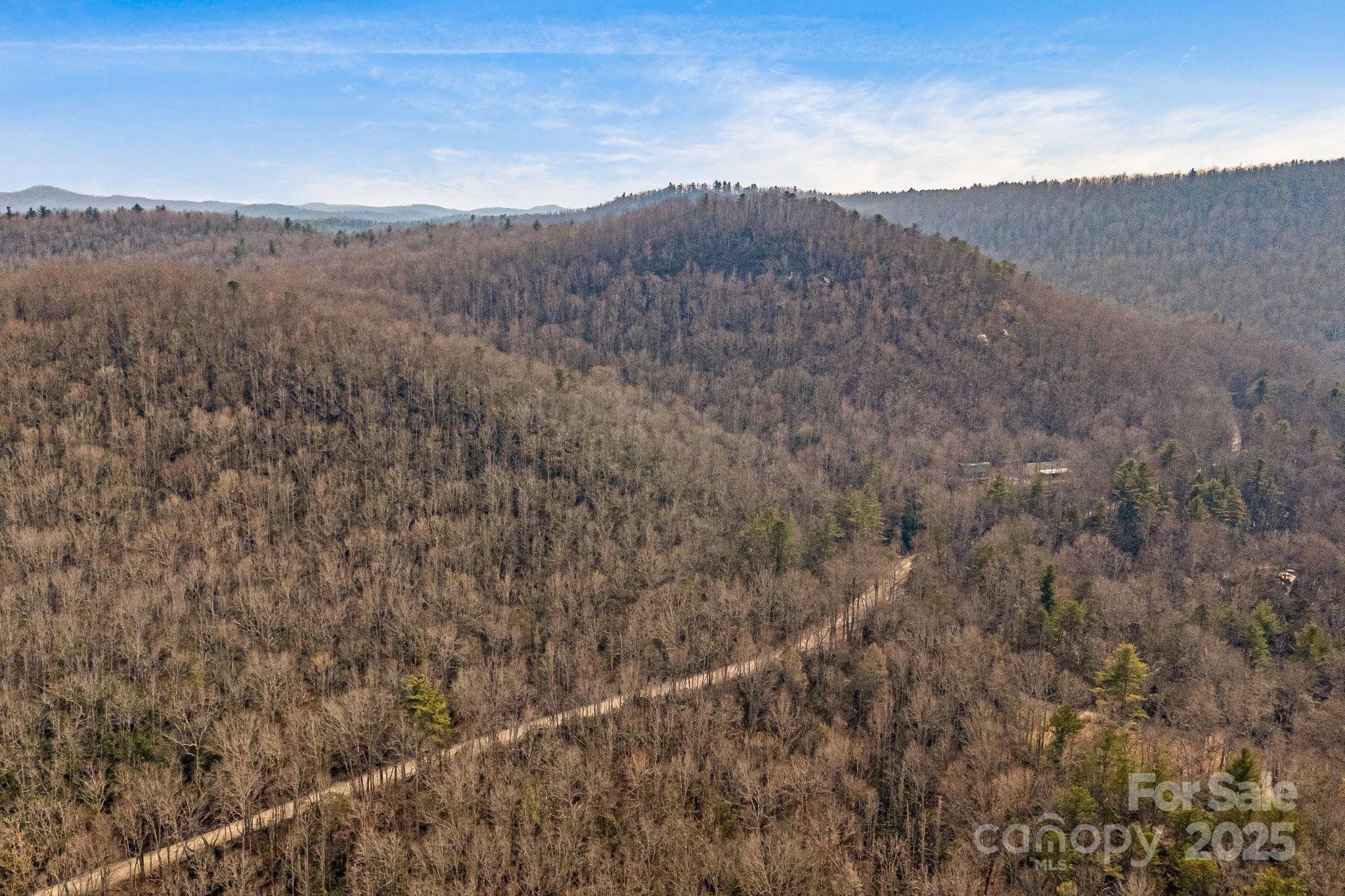5389 Cascade Lake Road Cedar Mountain, NC 28718 - Photo 39 of 39 a view of a mountain range with trees in the background