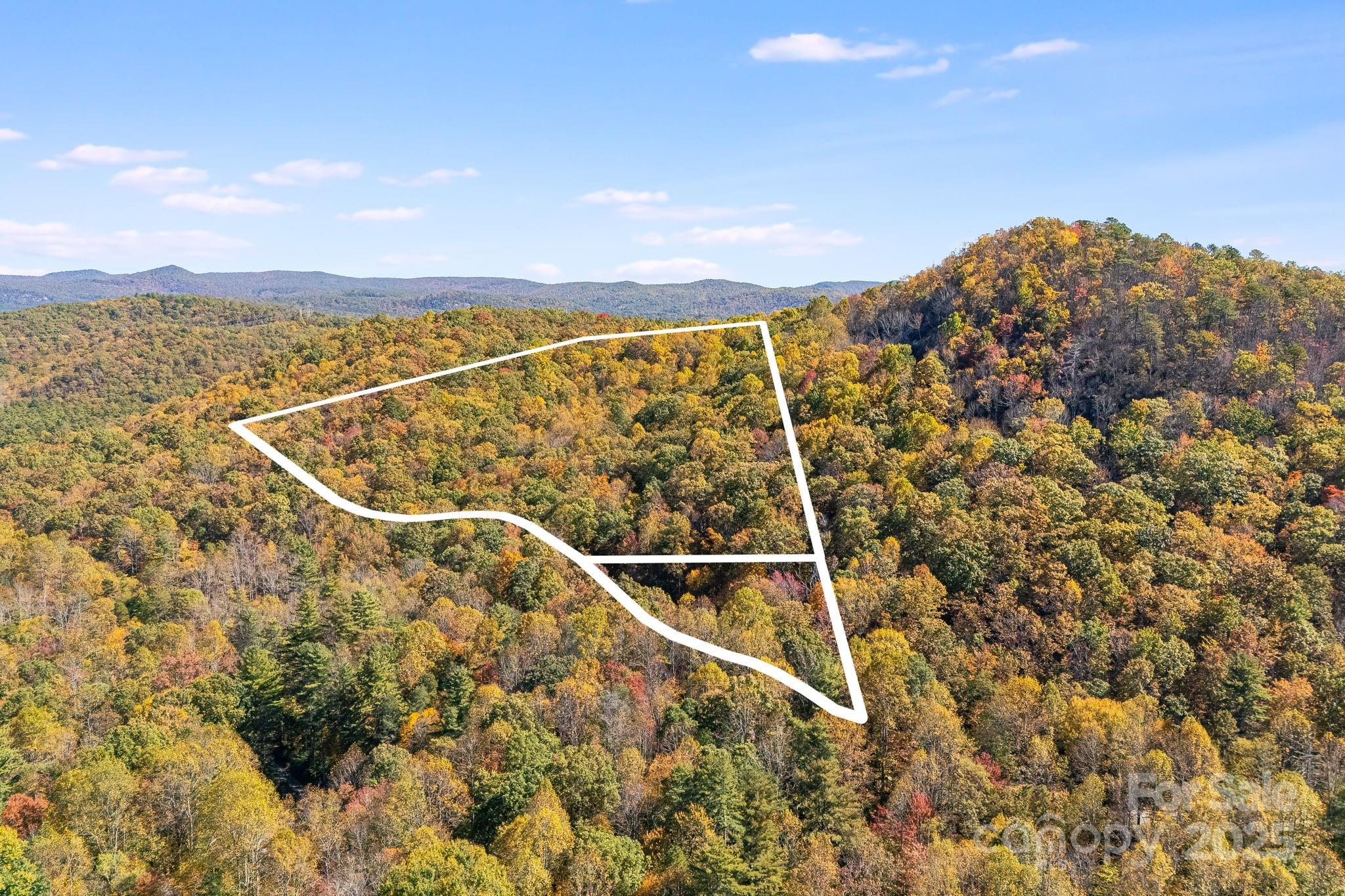 5389 Cascade Lake Road Cedar Mountain, NC 28718 - Photo 4 of 39 a view of a balcony