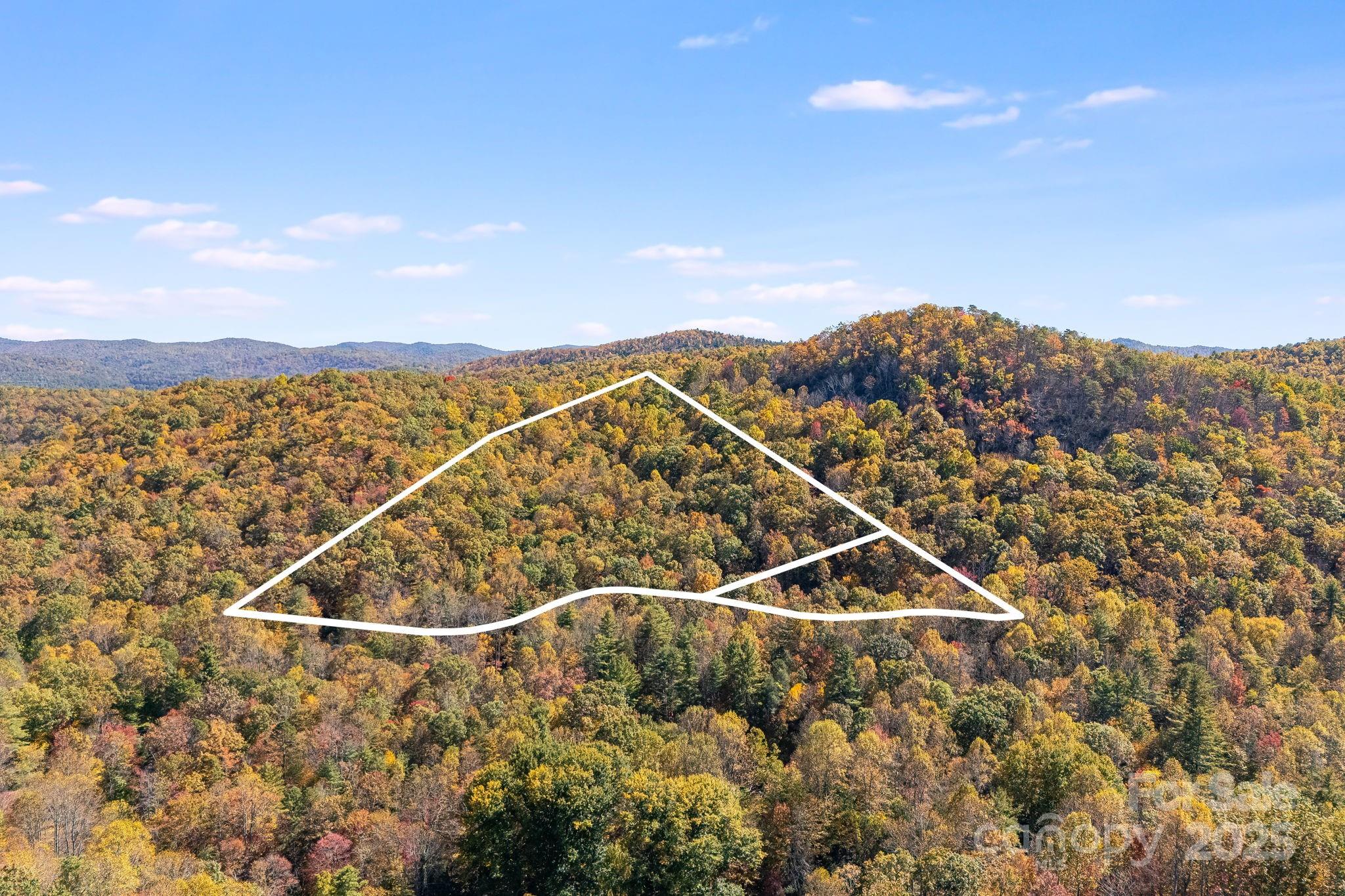 5389 Cascade Lake Road Cedar Mountain, NC 28718 - Photo 5 of 39 a view of a city