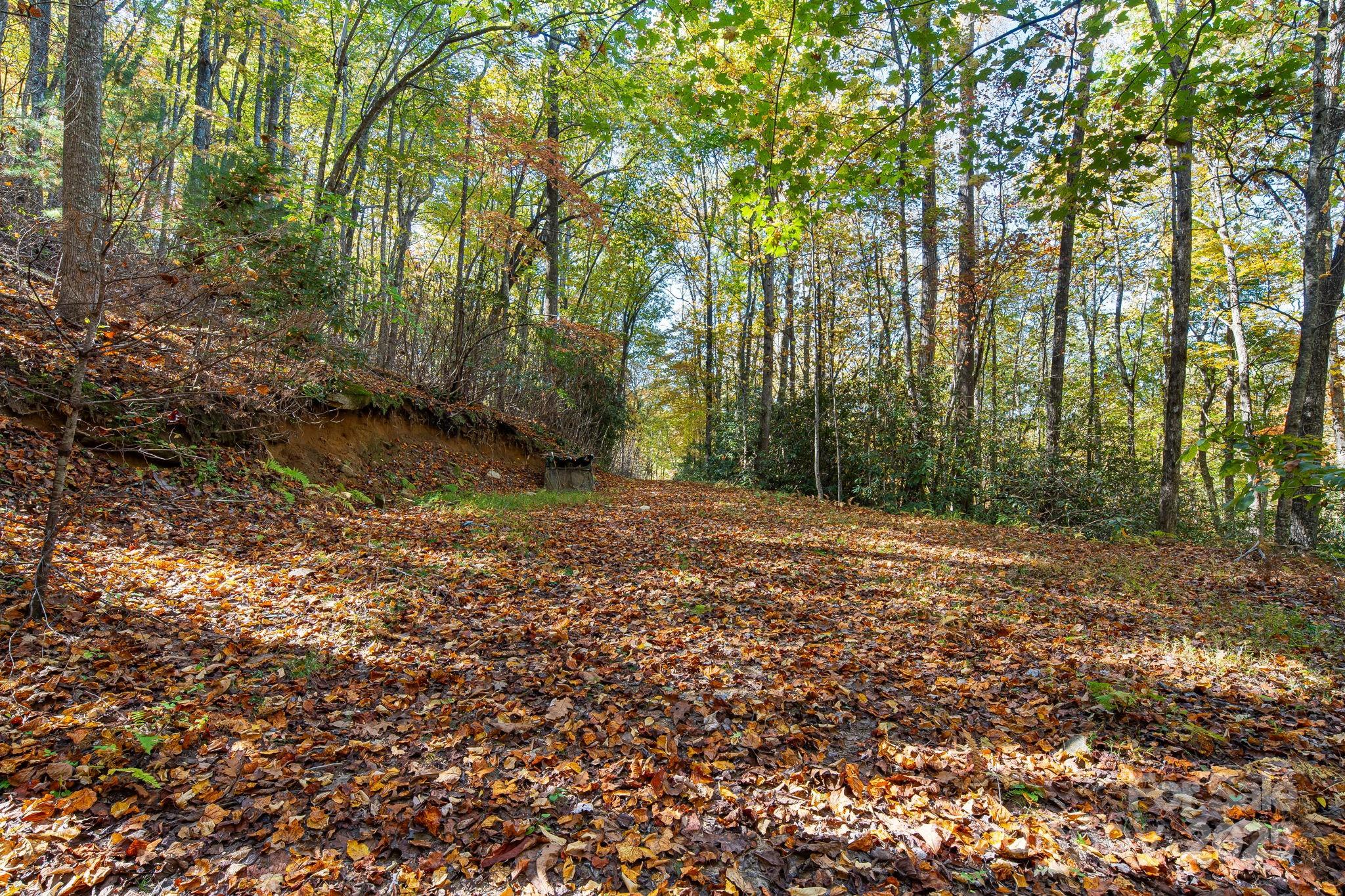 5389 Cascade Lake Road Cedar Mountain, NC 28718 - Photo 9 of 39 a view of backyard with green space