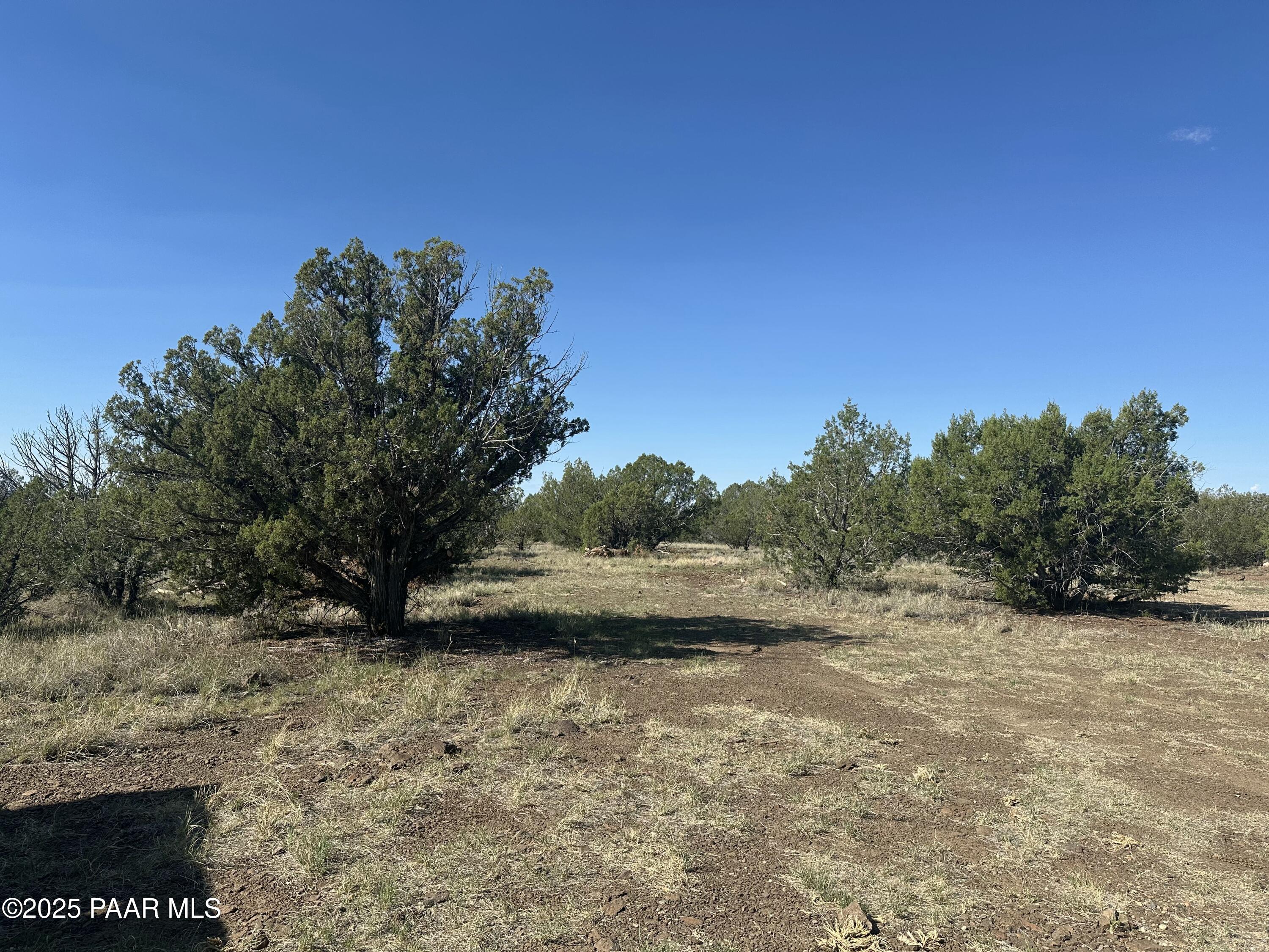 1325 West Ralphs Circle Ash Fork, AZ 86320 - Photo 3 of 13 IMG_0091