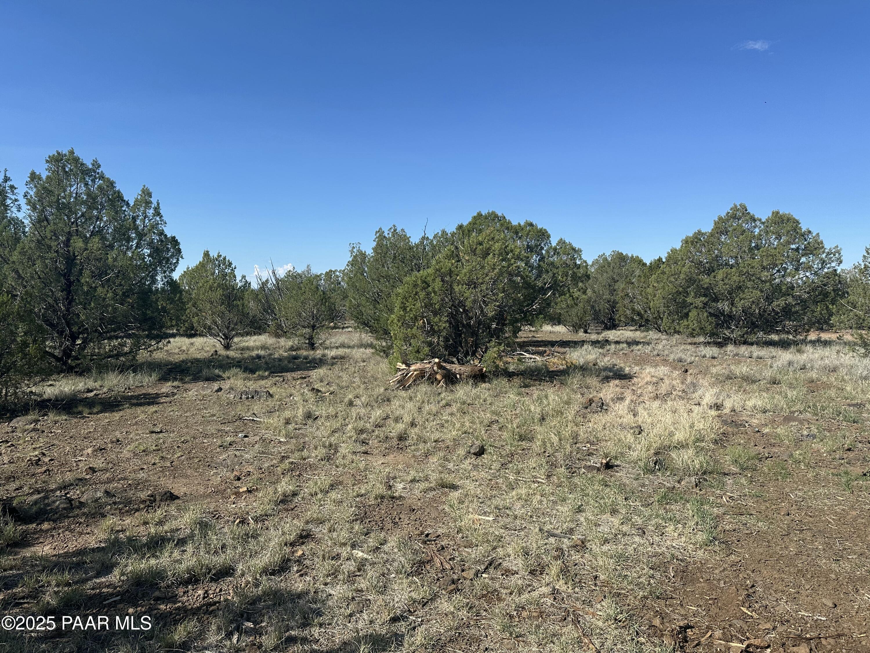 1325 West Ralphs Circle Ash Fork, AZ 86320 - Photo 6 of 13 IMG_0088