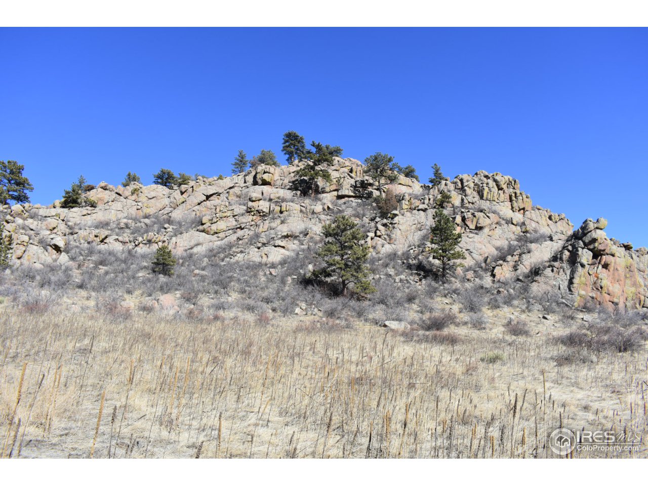 681 Apple Ridge Road Lyons, CO 80540 - Photo 11 of 30