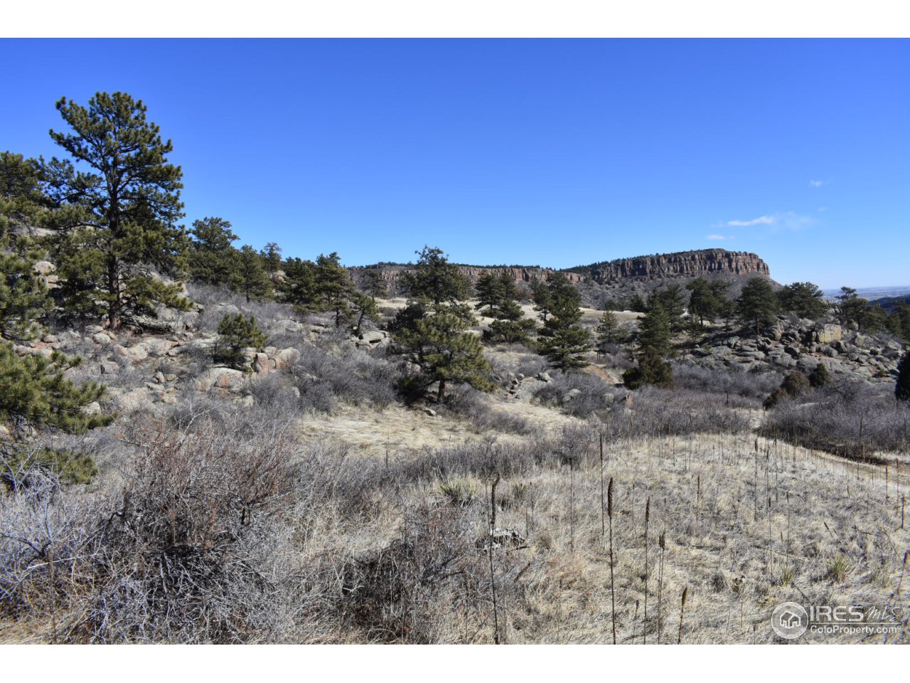 681 Apple Ridge Road Lyons, CO 80540 - Photo 12 of 30