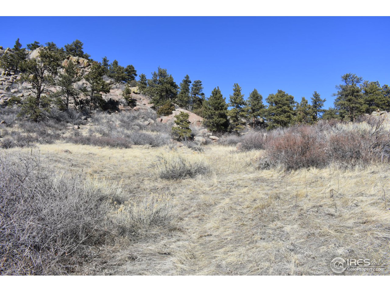 681 Apple Ridge Road Lyons, CO 80540 - Photo 15 of 30