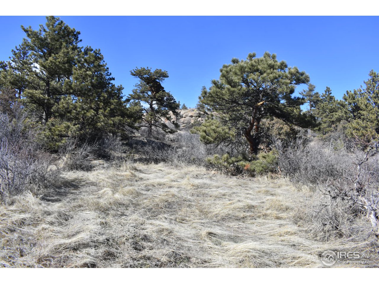 681 Apple Ridge Road Lyons, CO 80540 - Photo 16 of 30