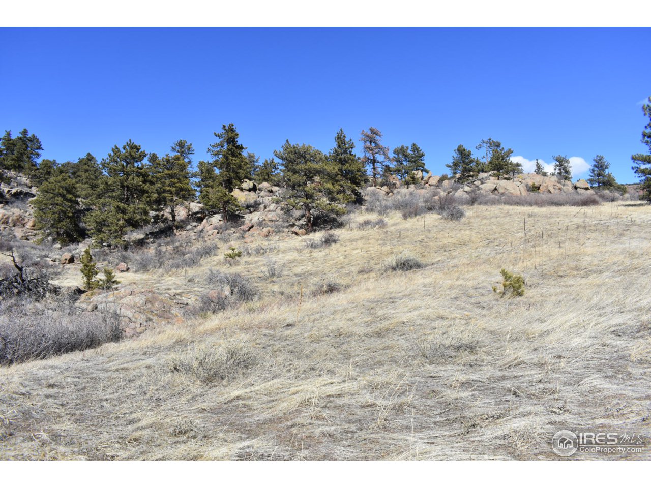 681 Apple Ridge Road Lyons, CO 80540 - Photo 17 of 30