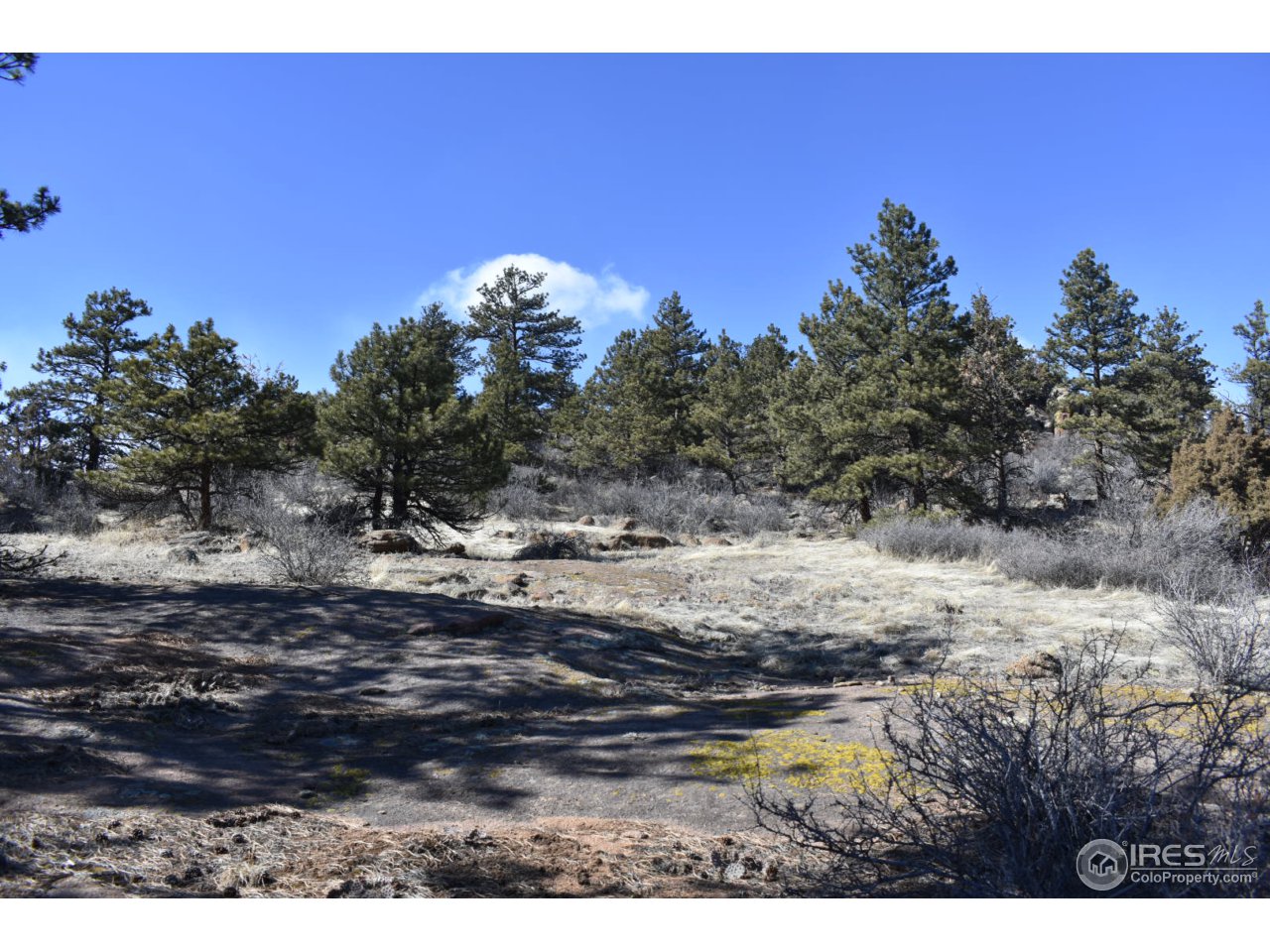 681 Apple Ridge Road Lyons, CO 80540 - Photo 18 of 30