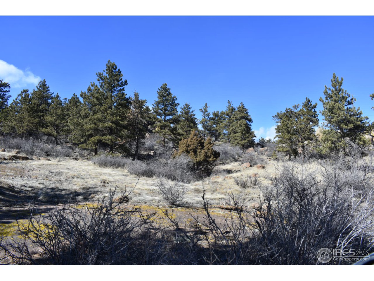 681 Apple Ridge Road Lyons, CO 80540 - Photo 19 of 30