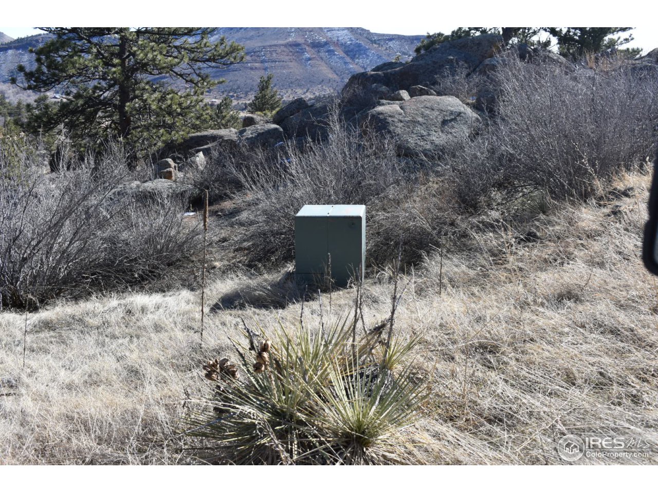 681 Apple Ridge Road Lyons, CO 80540 - Photo 23 of 30