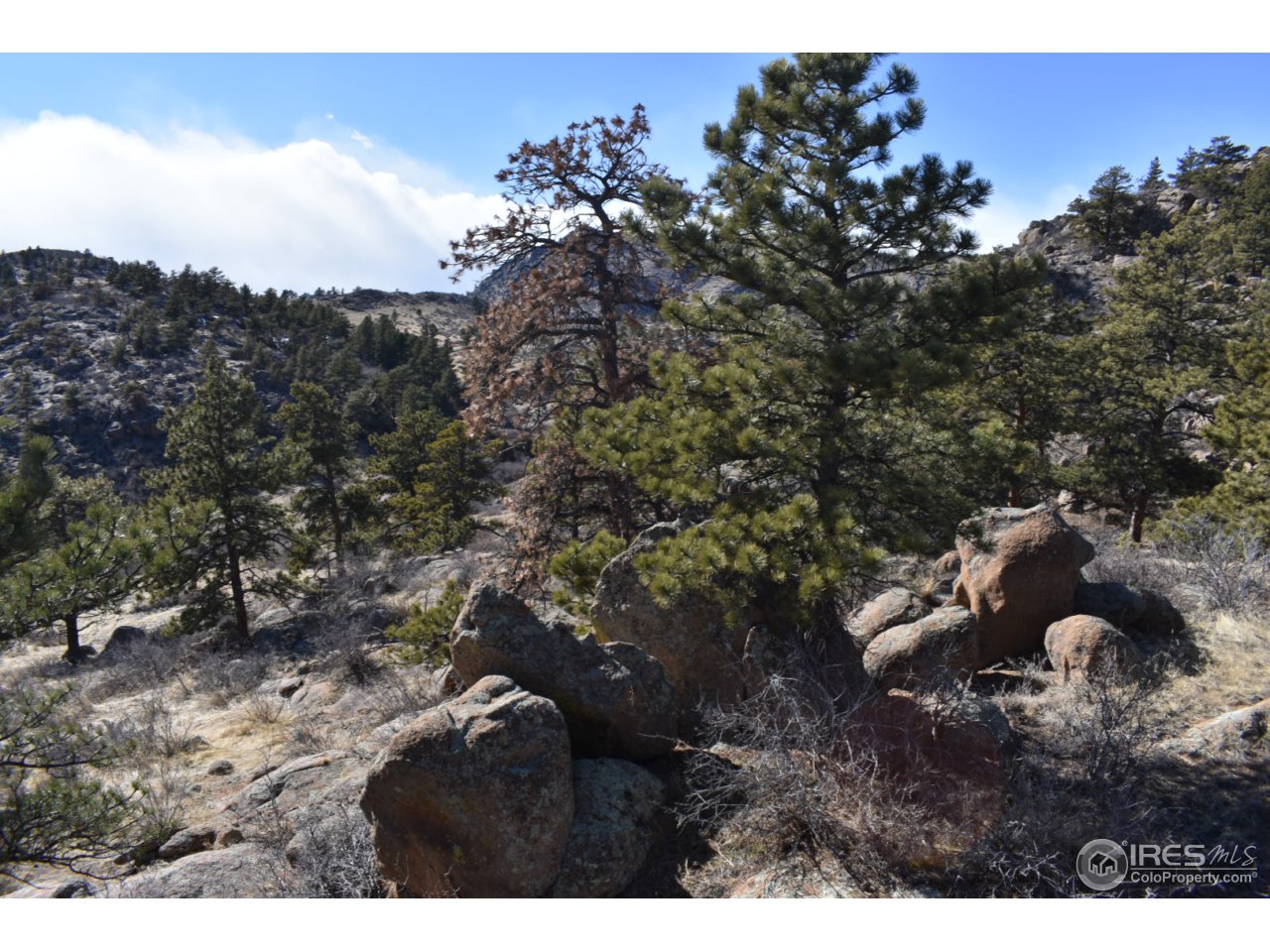 681 Apple Ridge Road Lyons, CO 80540 - Photo 24 of 30