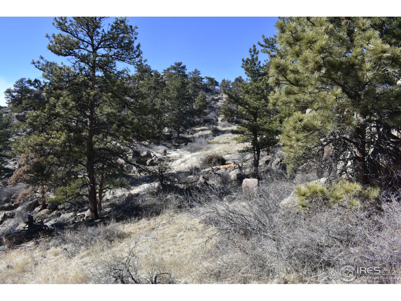 681 Apple Ridge Road Lyons, CO 80540 - Photo 26 of 30