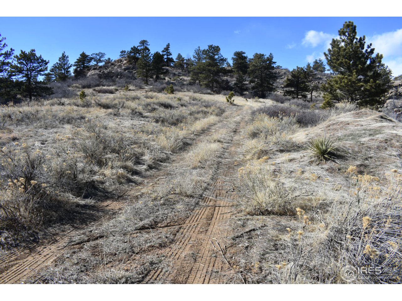 681 Apple Ridge Road Lyons, CO 80540 - Photo 28 of 30
