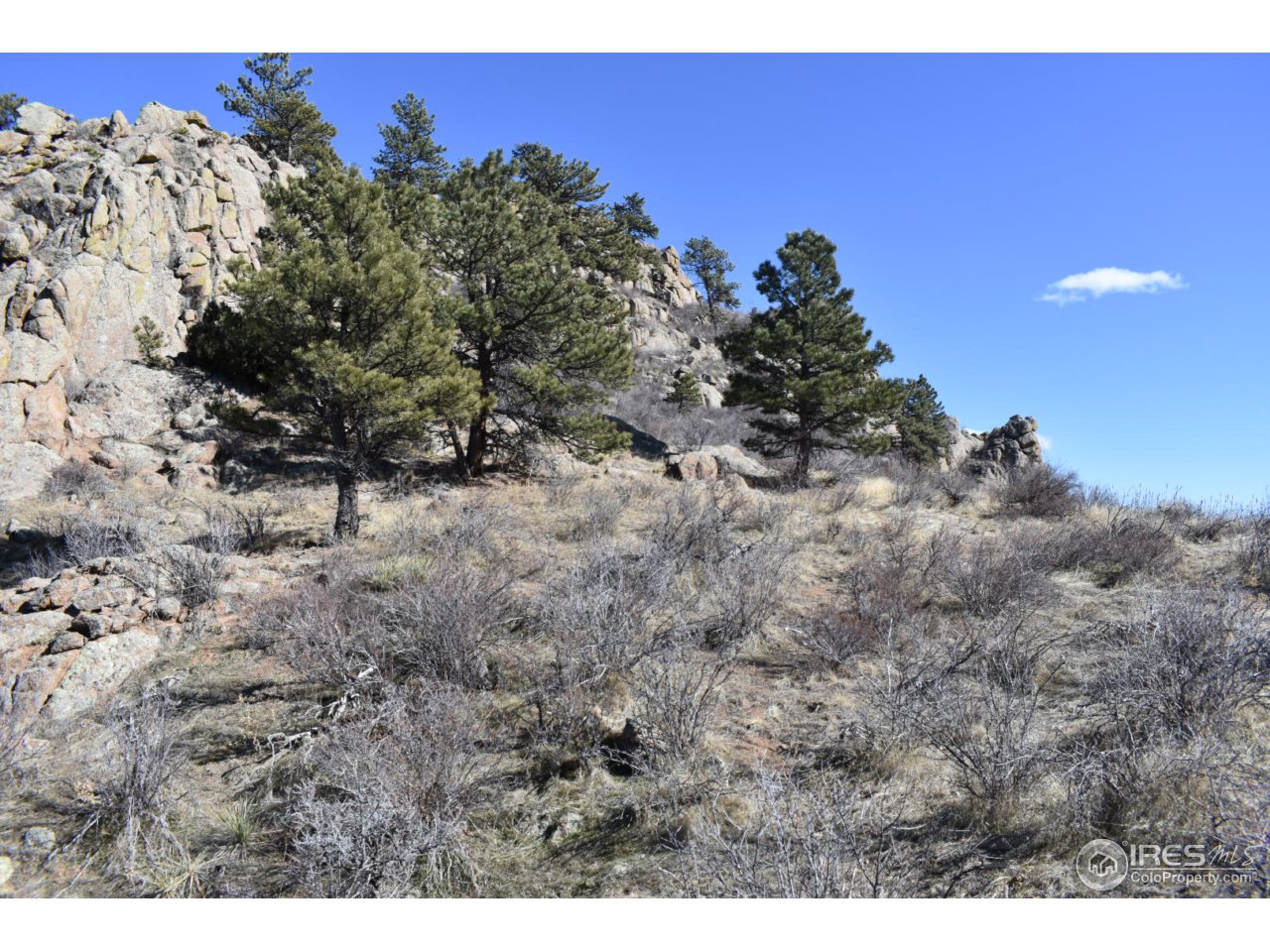 681 Apple Ridge Road Lyons, CO 80540 - Photo 8 of 30