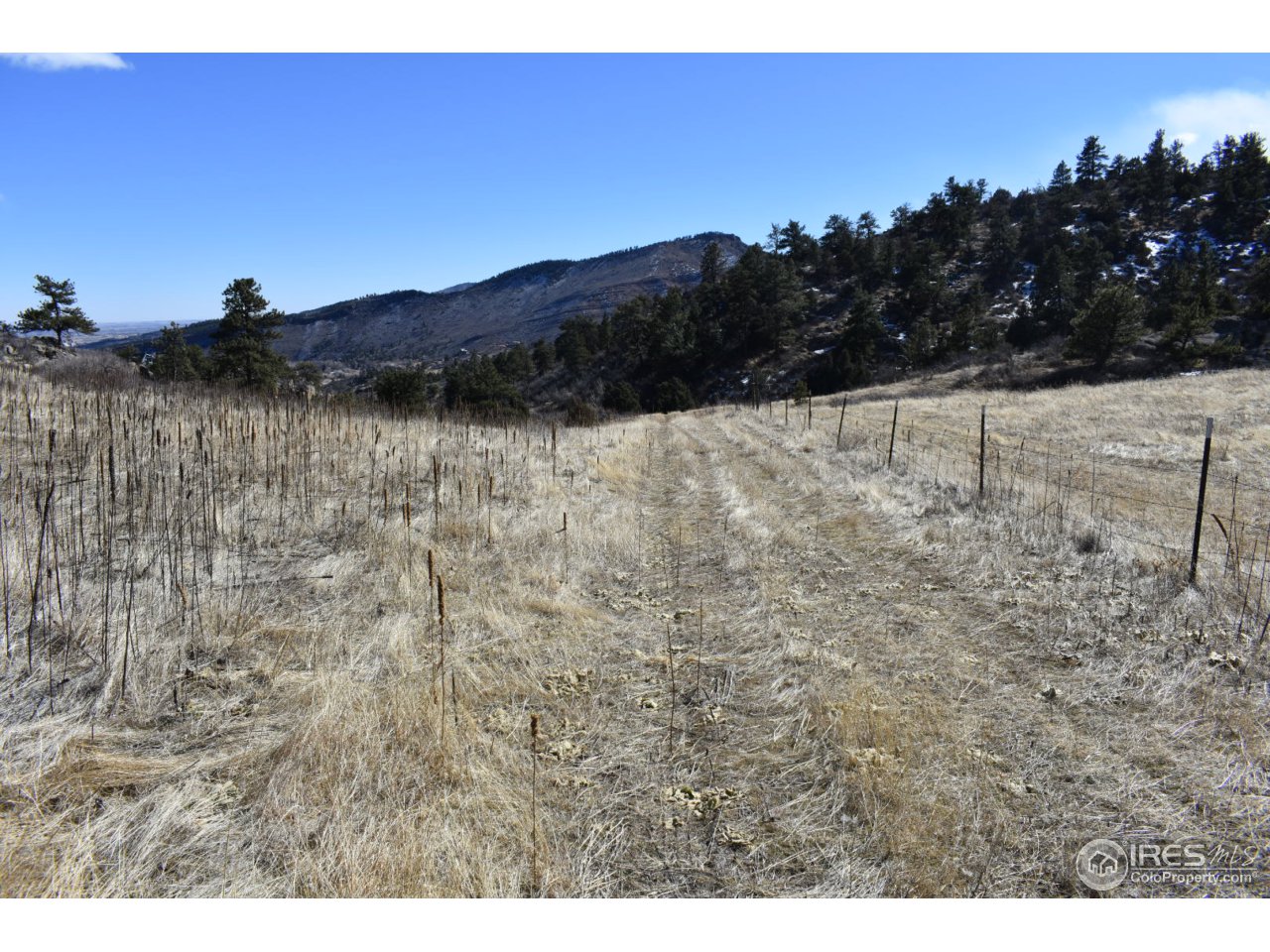 681 Apple Ridge Road Lyons, CO 80540 - Photo 10 of 30