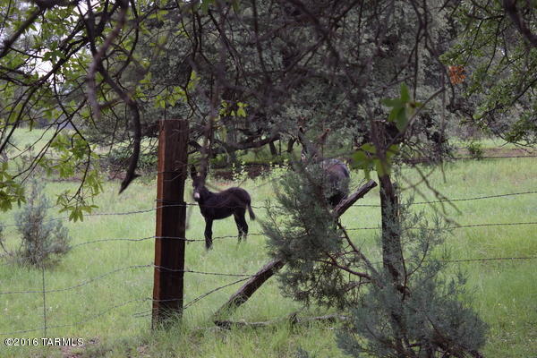 Umpire Ranch Road Elgin, AZ 85611 - Photo 21 of 27