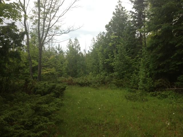10260 West Long Lake Road Alpena, MI 49707 - Photo 5 of 6 Gallery Image 5