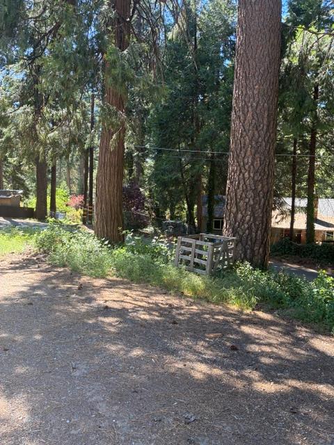 2823 Blair Road Pollock Pines, CA 95726 - Photo 4 of 15 a view of backyard with green space