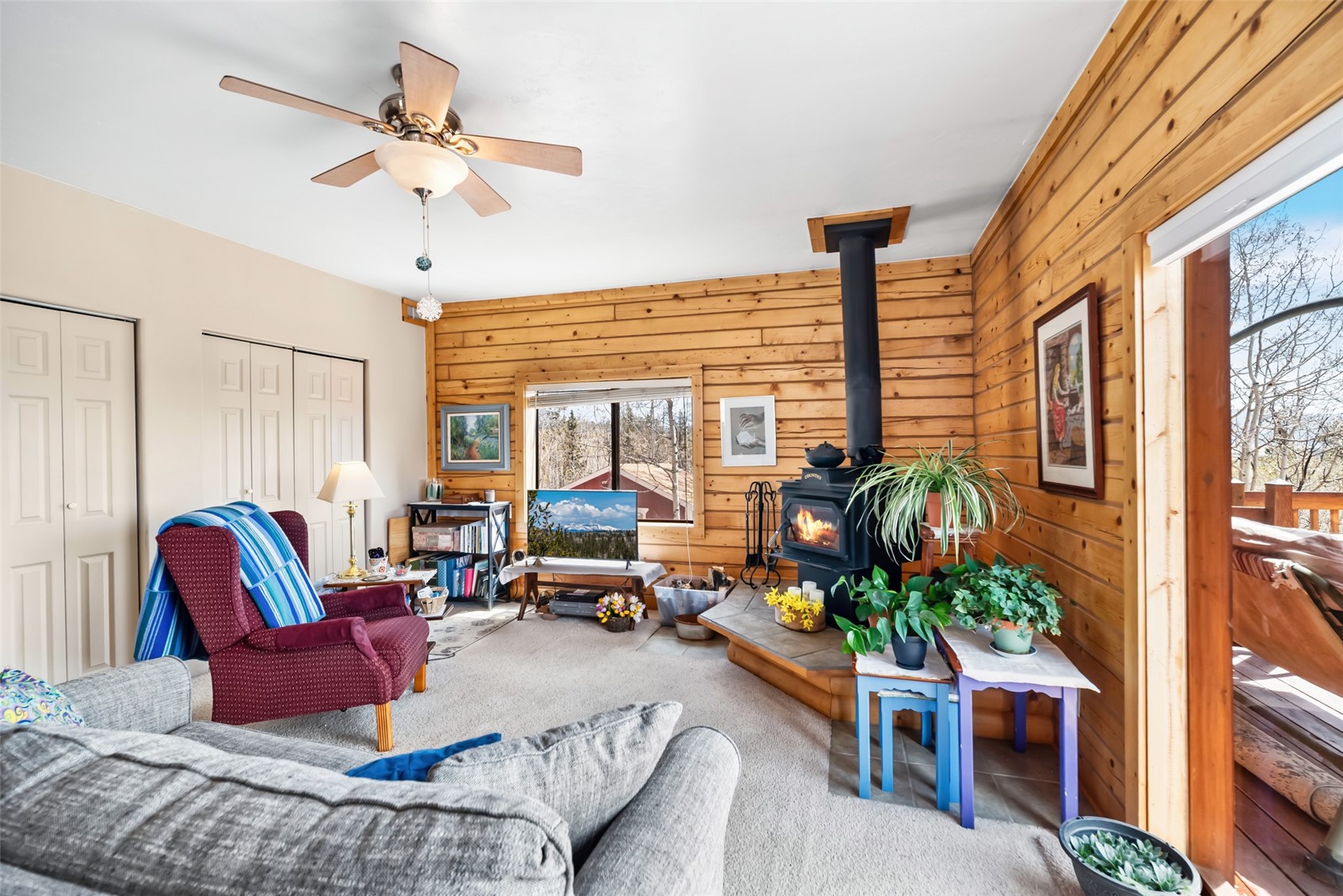 360 Musket Lane Como, CO 80456 - Photo 9 of 46