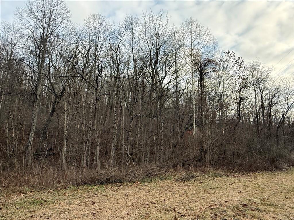 1 Polecat Hollow Road Waynesburg, PA 15370 - Photo 3 of 7 a view of wooden fence