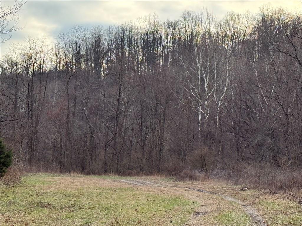 1 Polecat Hollow Road Waynesburg, PA 15370 - Photo 4 of 7 a view of wooden fence