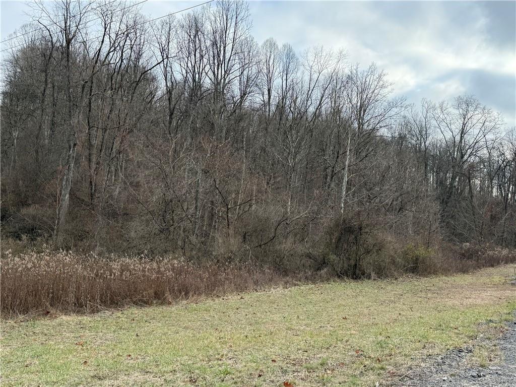 1 Polecat Hollow Road Waynesburg, PA 15370 - Photo 5 of 7 a view of a yard