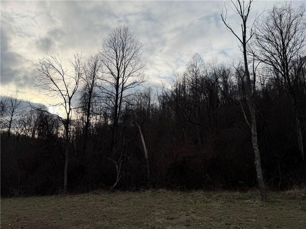 1 Polecat Hollow Road Waynesburg, PA 15370 - Photo 7 of 7 a view of outdoor space