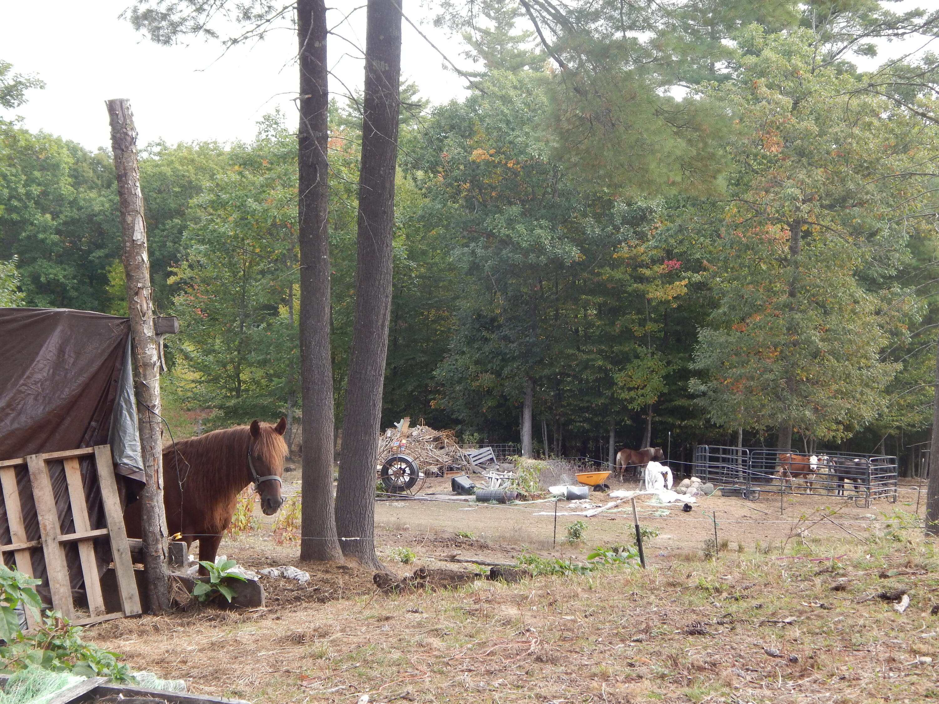 125 Corn Hill Road Brownfield, ME 04010 - Photo 33 of 38