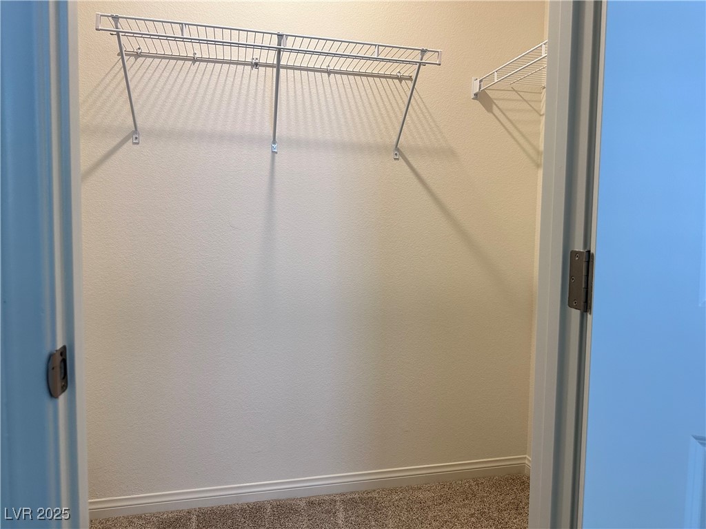 3634 Cameri Avenue Henderson, NV 89044 - Photo 15 of 22 Walk in closet featuring carpet flooring
