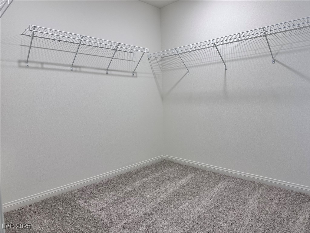 3634 Cameri Avenue Henderson, NV 89044 - Photo 16 of 22 Spacious closet with carpet flooring