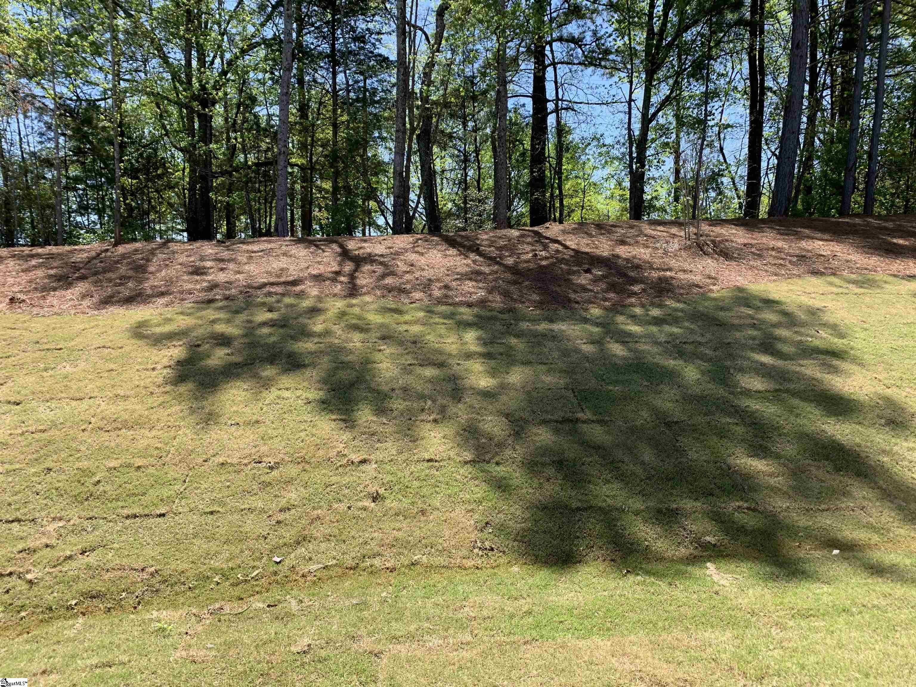 122 River Trace Loop Simpsonville, SC 29680 - Photo 7 of 7