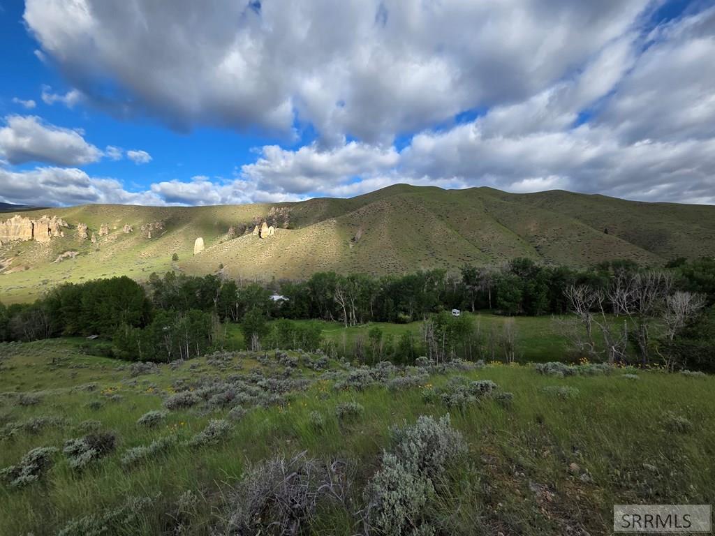 Nkn East Tower Creek Road Carmen, ID 83462 - Photo 11 of 63