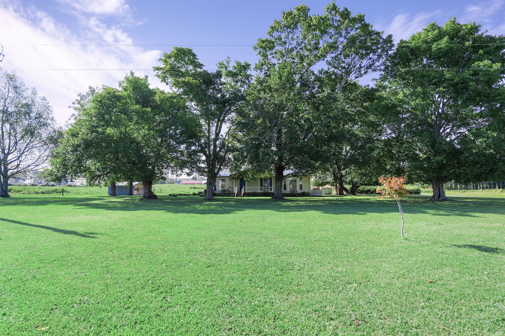 155 Marcella Falls Road Ethridge, TN 38456 - Photo 24 of 33 a view of a trees in front of a house