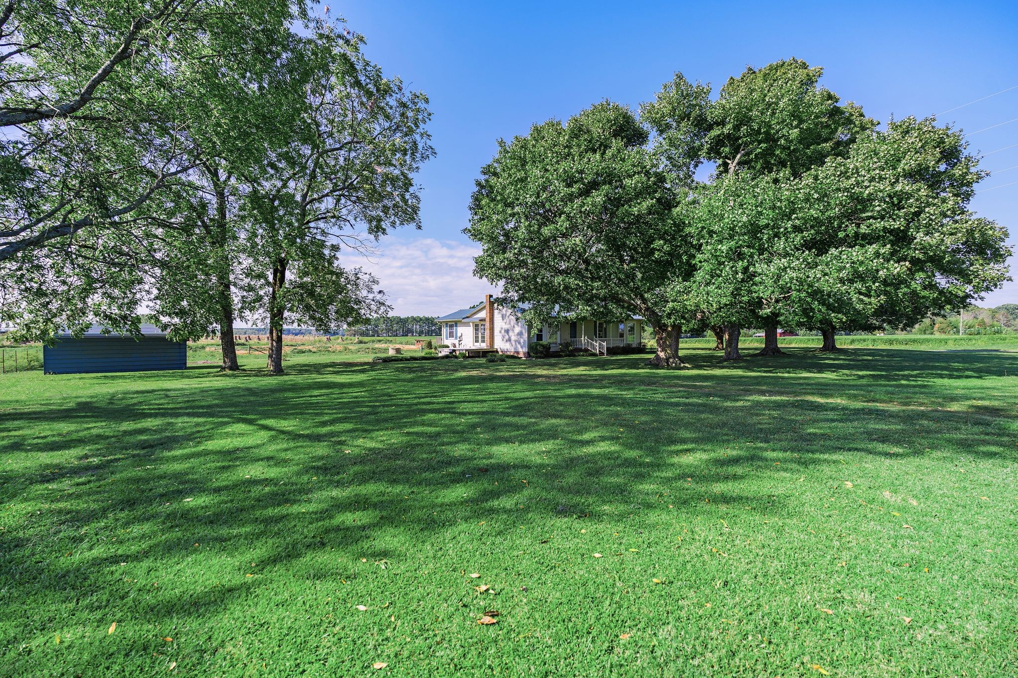 155 Marcella Falls Road Ethridge, TN 38456 - Photo 25 of 33 a garden view with a trees