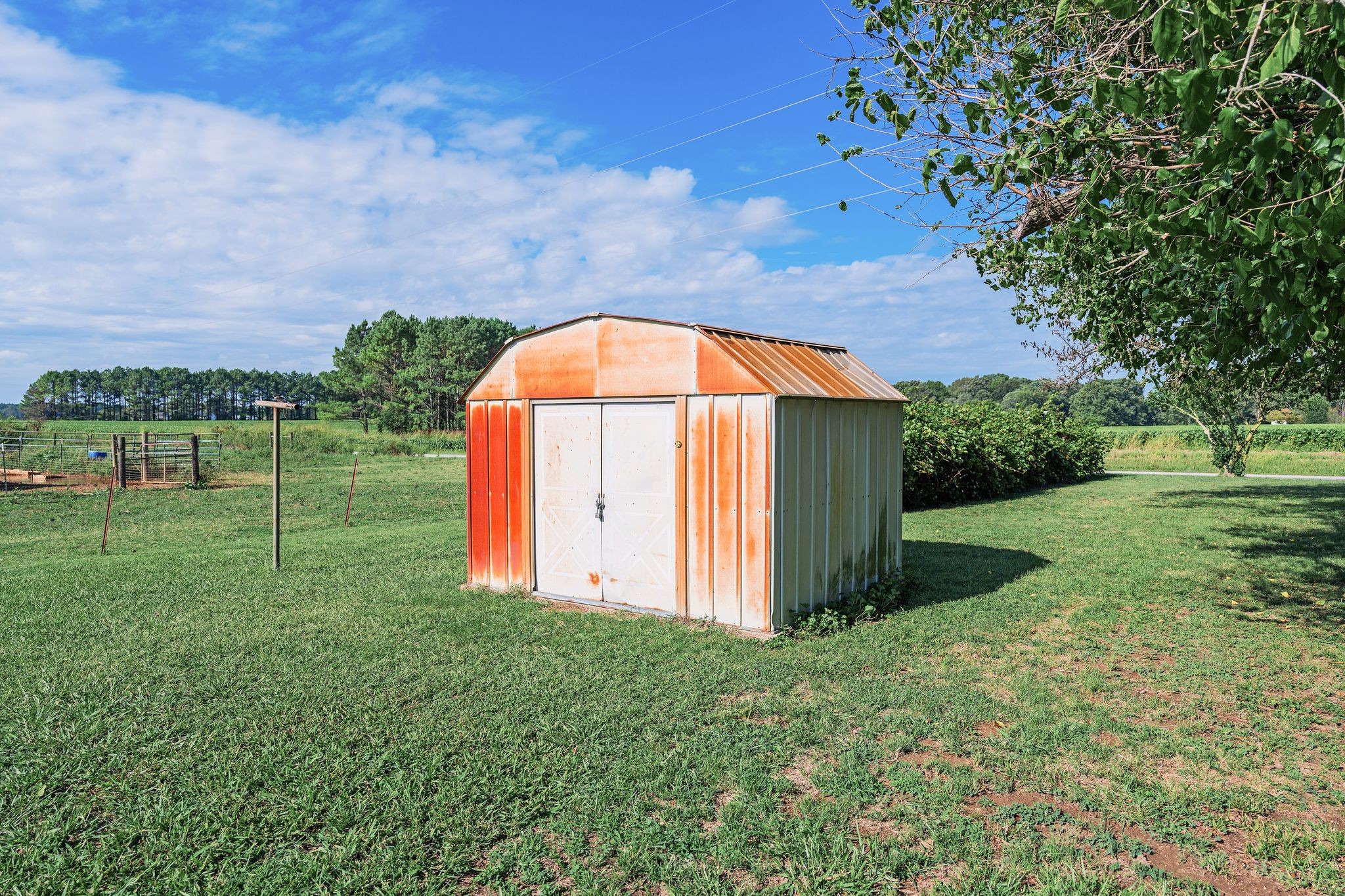 155 Marcella Falls Road Ethridge, TN 38456 - Photo 30 of 33 a view of backyard with green space