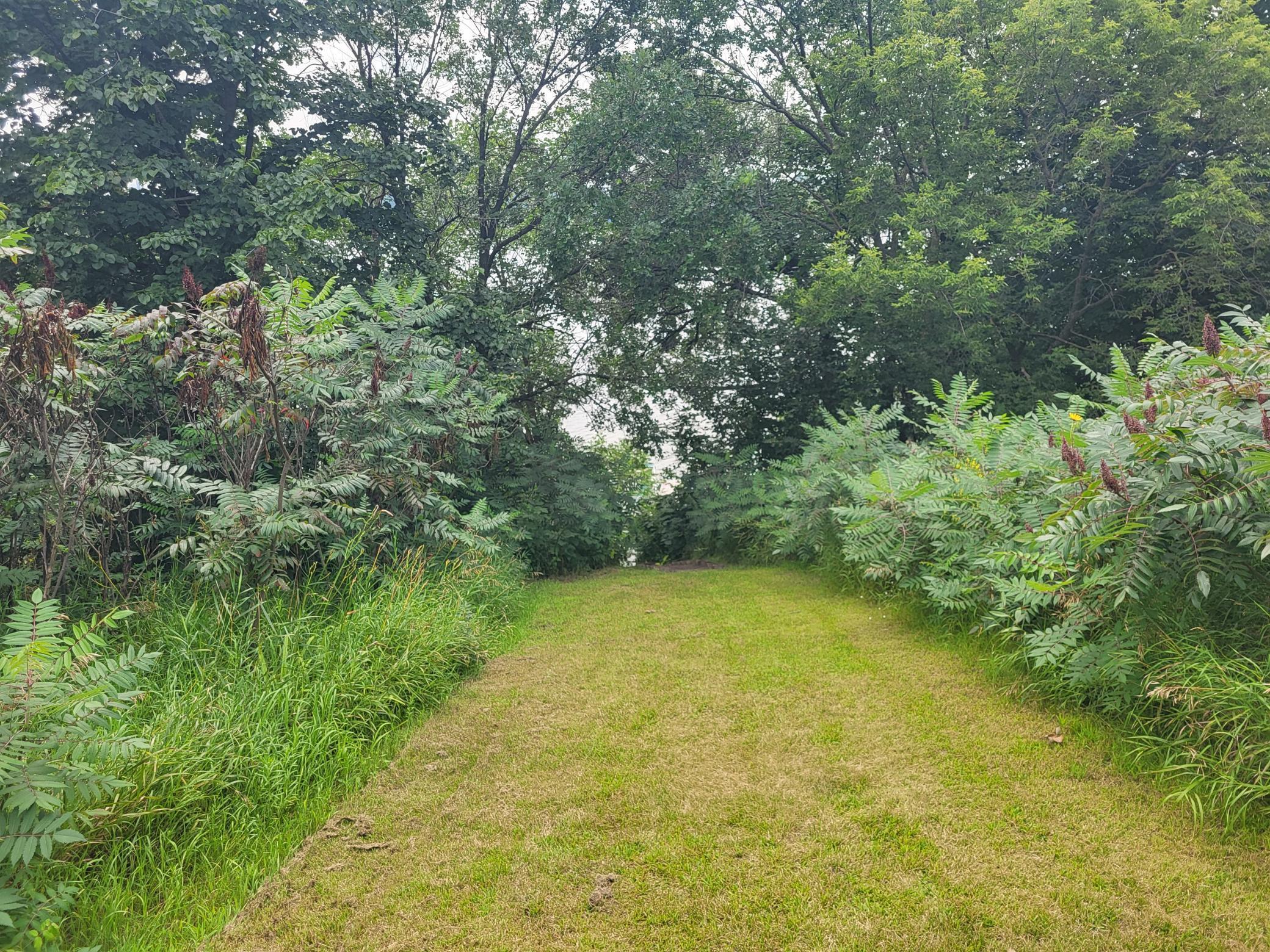 2502 Ranchwood Circle Southeast Alexandria, MN 56308 - Photo 51 of 56