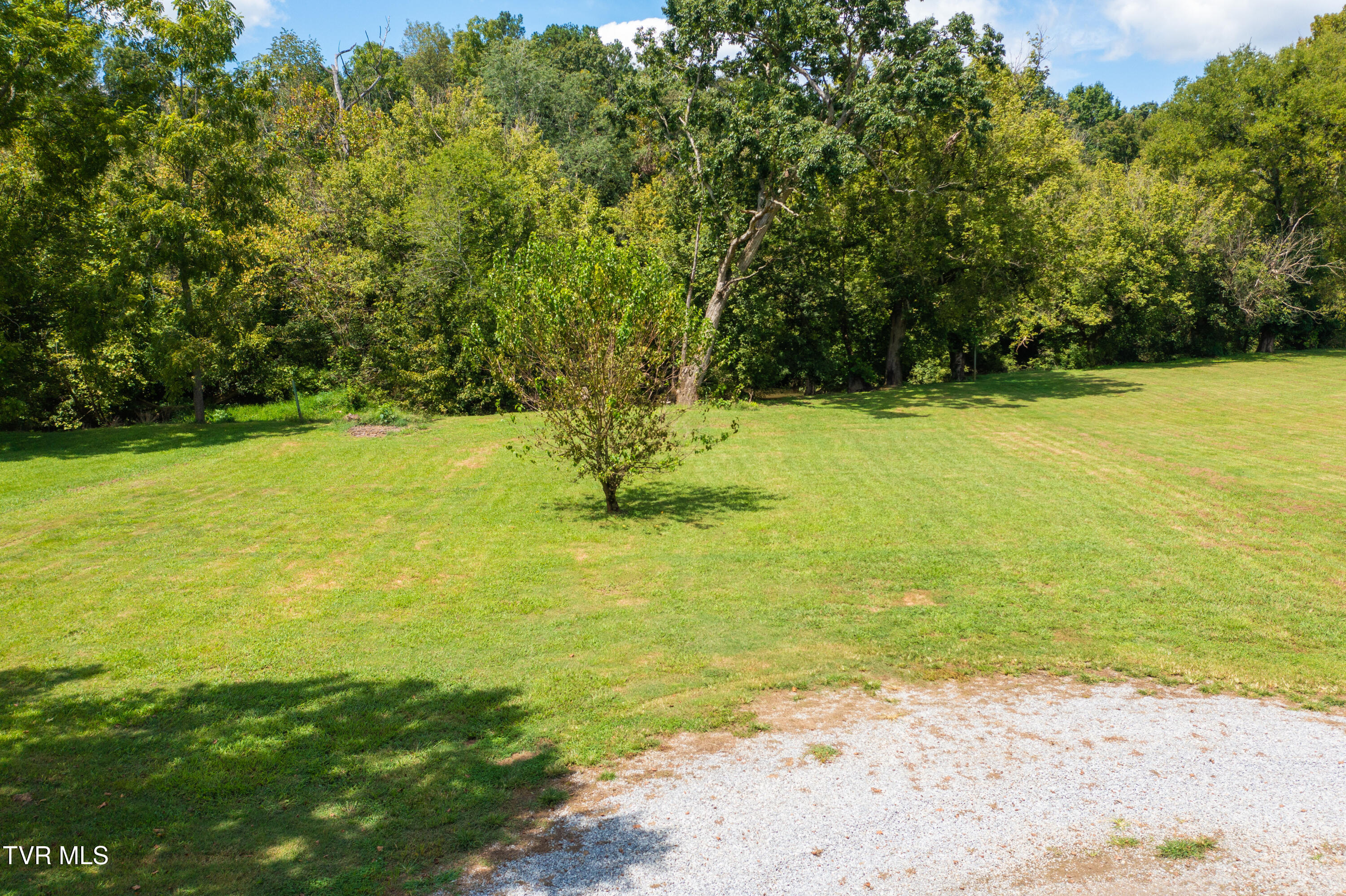 229 Davy Crockett Road Limestone, TN 37681 - Photo 45 of 49 Davy Crockett Rd-46