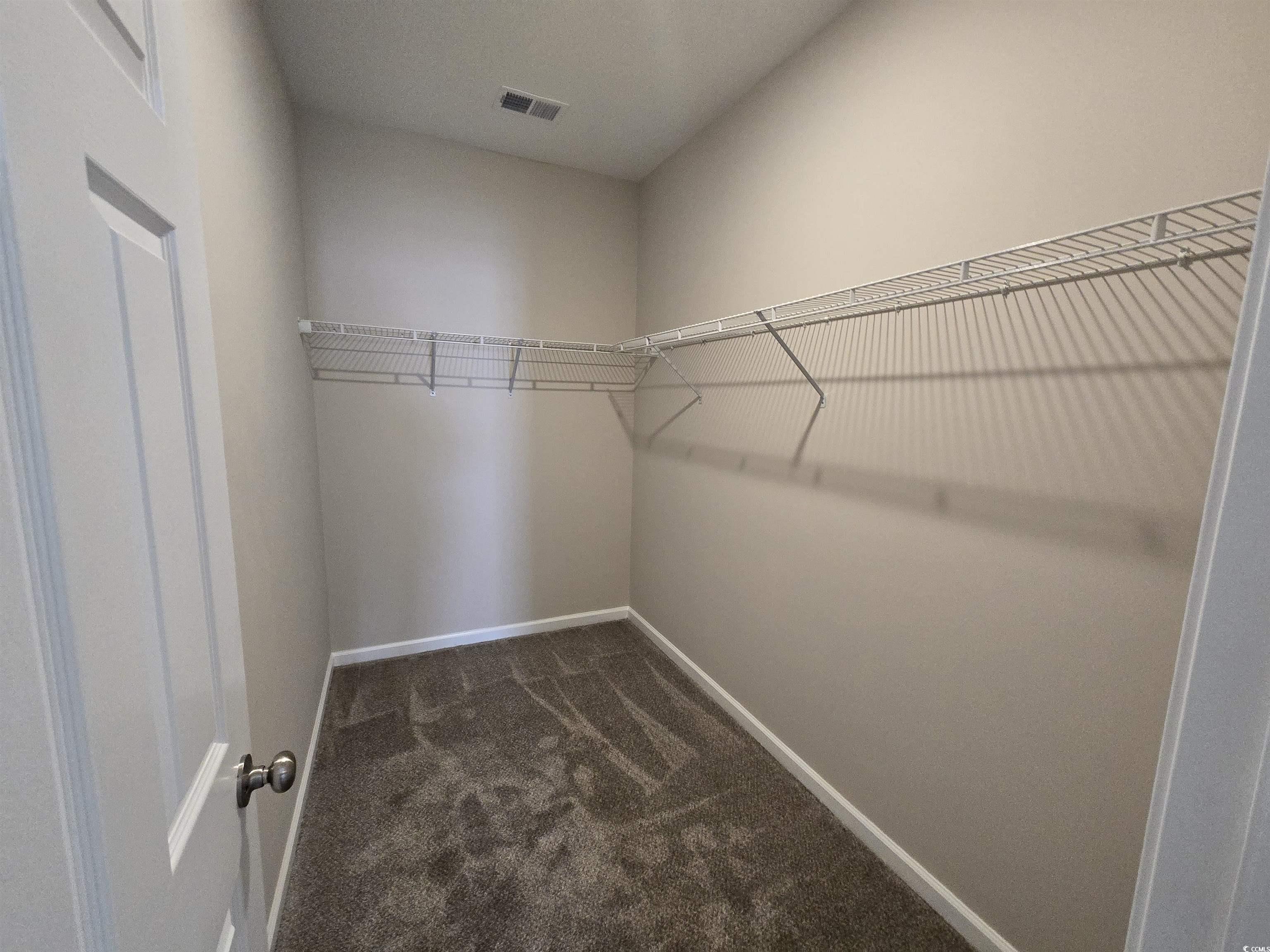 129 Powder Springs Loop Myrtle Beach, SC 29588 - Photo 9 of 23 Walk in closet with dark carpet