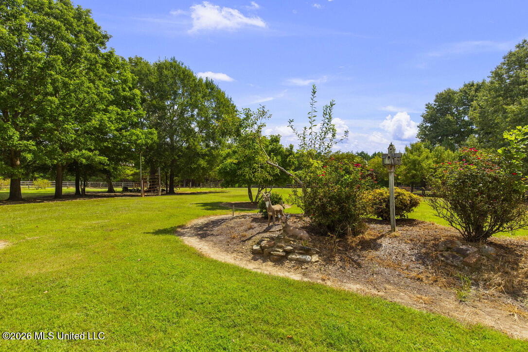 1454 Livingston Vernon Road Flora, MS 39071 - Photo 65 of 67 5D7431DA-9AEA-465D-8FAD-DE15E15DE99C_1_1