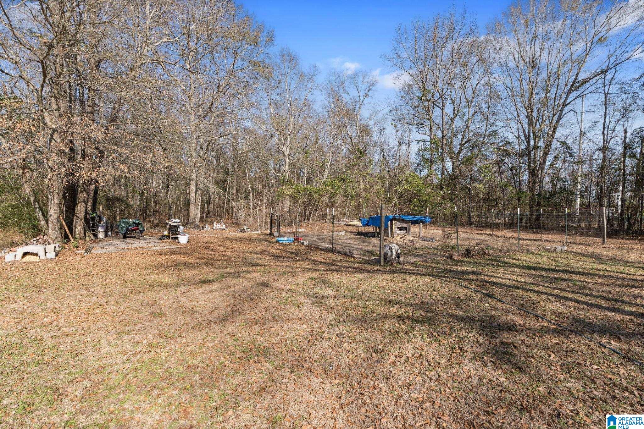 6609 County Road 24 Verbena, AL 36091 - Photo 38 of 43