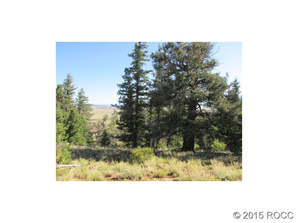 Tbd Sinaqua Road Hartsel, CO 80449 - Photo 3 of 7 Gallery Image 3