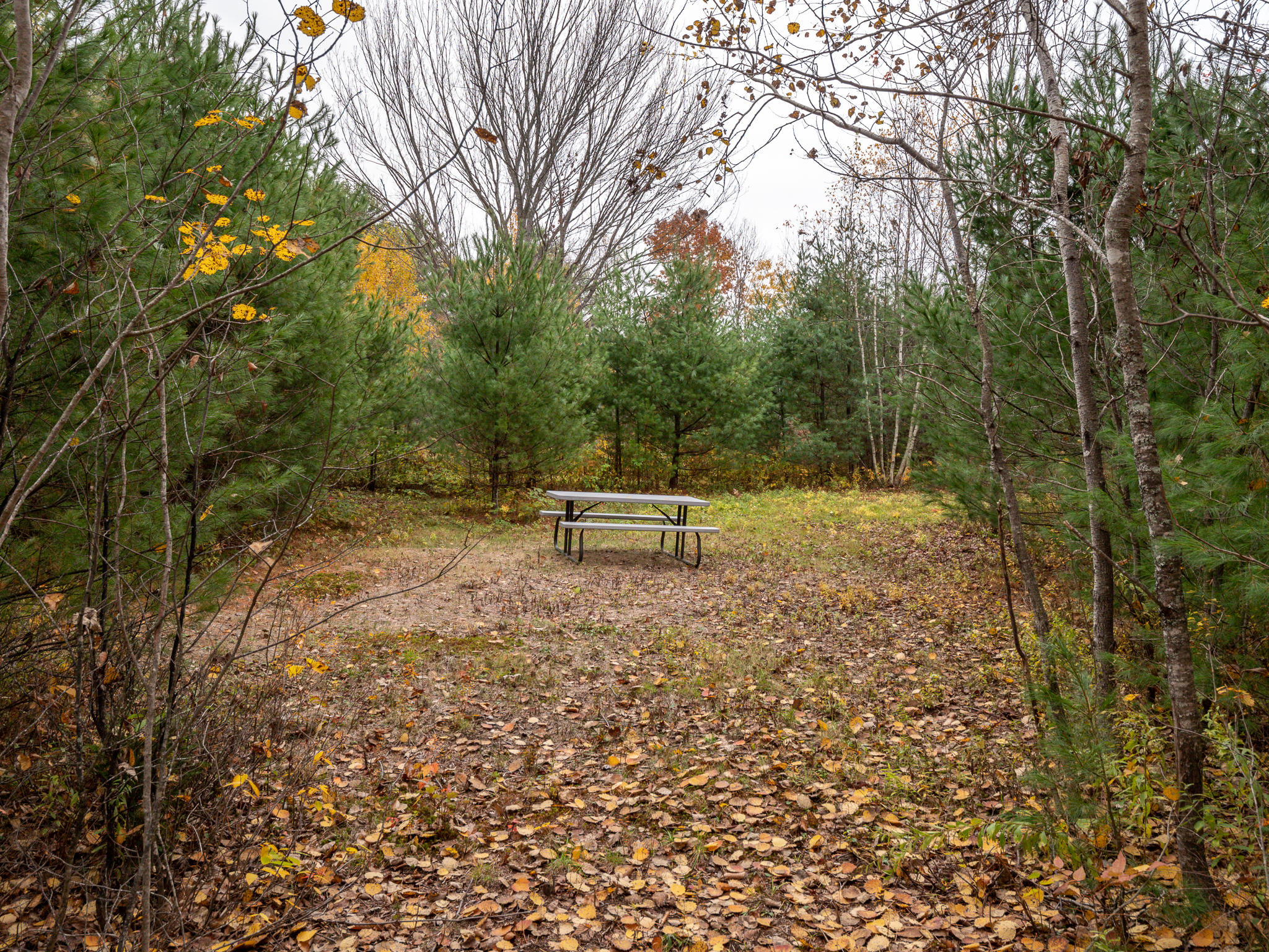 285 Sweden Road Waterford, ME 04088 - Photo 56 of 60 285 Sweden Rd-56