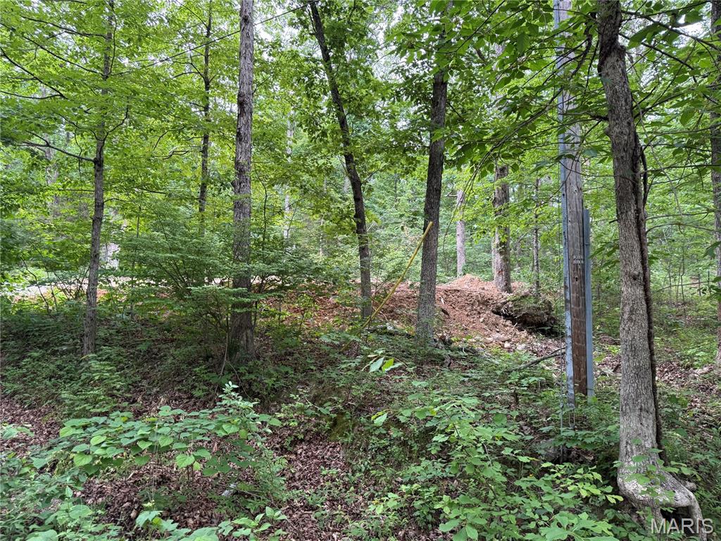 0 Lot 84 Mallard Road Middle Brook, MO 63656 - Photo 2 of 11
