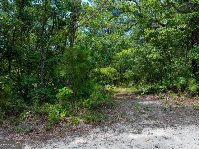 $66,000 | 10.5-acres (lot River Road, Waynesboro, GA 30830