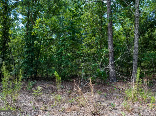 $66,000 | 10.5-acres (lot River Road, Waynesboro, GA 30830