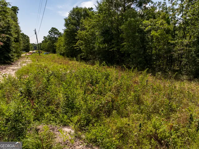 $66,000 | 10.5-acres (lot River Road, Waynesboro, GA 30830