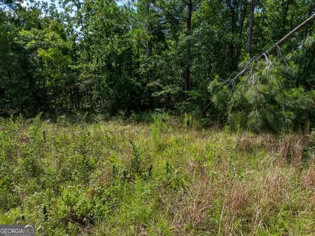 $66,000 | 10.5-acres (lot River Road, Waynesboro, GA 30830